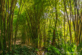 Jardin Historico-Botanico Málaga