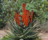 Parque de la Paloma