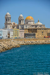 Cadiz Cathedral