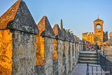 Cordoba Castle for Reyes Catolicos