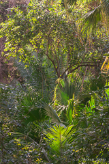Old Gardens at Jardin Historico-Botanico Málaga