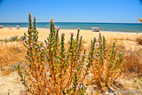 Matalascanas Beaches