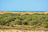 Donana National Park