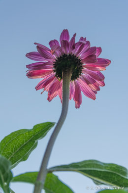 Reaching Out