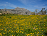 El Chorro springtime