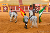 Andalucian Fiesta