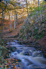 Forsakar Nature Reserve, Skåne