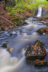 Forsakar Nature Reserve, Skåne (upper falls)