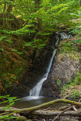 Forsakar upper falls, Skåne
