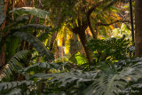 Lush gardens of Jardin Historico-Botanico Málaga