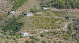 Farm in Frigilina, Axarquia region, Andalucia