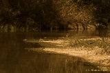 Rio Guadalhorce