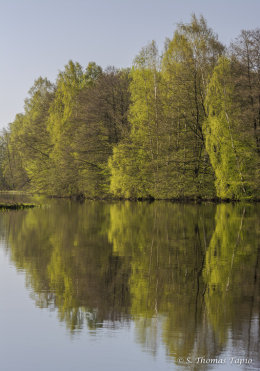 Helge river on a sunny spring morning
