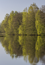 Helge river on a sunny spring morning.
