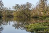 Helge river on a sunny spring morning.
