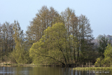 Helge river on a sunny spring morning.
