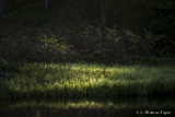 Helge river banks