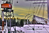 Suomen Joutsen in River Aura