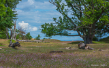 Havängen Nature Reserve in Skåne