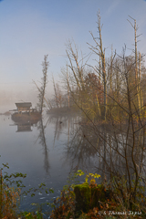 River Helge, Skåne Sweden in October