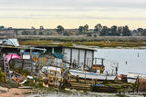 Fishing harbor in Isla Cristina