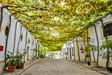 Jerez Bodega