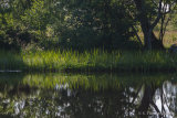 Helge Å riverbank