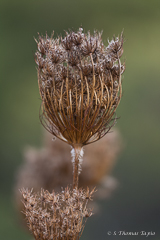 Malaga Nature Park