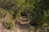 Hiking Track in Málaga Mountains