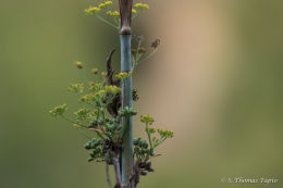 Malaga Nature Park