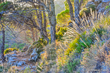 Hiking track in, Mijas.