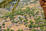 Mijas mouintainside