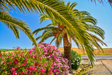 Entrance to local Hacienda, Ronda area.