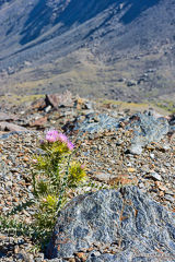Pico Veleta at 3000 m altitude.