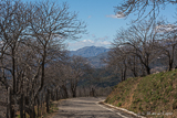 Rural spring in Ronda serrania