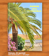 Annual Yearbook 2013