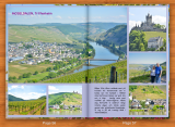 Trittenheim in Moselthal winedistrict