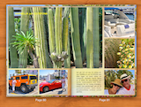 Estepona and Marbella