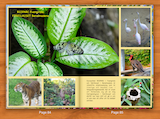 Bioparc and Mariposario