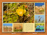 Donana National Park