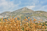 Sierra Nevada, Spain