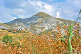 Sierra Nevada, Spain