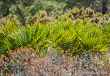 Tolox hiking tracks