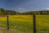 Skåne landscapes
