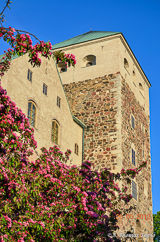 Turku Castle