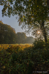 Wanås nature