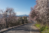 The narrow road to Faraján near Ronda