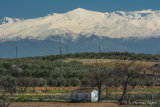 Sierra Nevada covered in snow February 2014