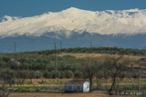 Sierra Nevada covered in snow