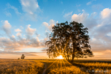 Åhus wishes good morning